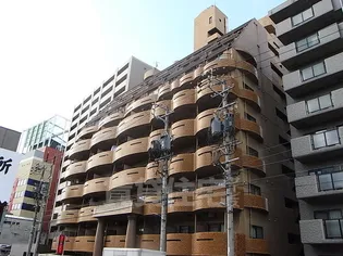 岩井橋ロイヤルハイツ【10階】の外観