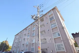 菅原第1ダイヤモンドハイムの画像