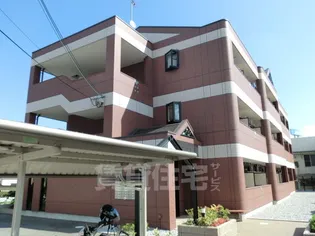 コンフォール Mの画像