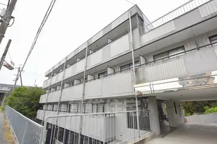 レイナ錦織【1階】の外観