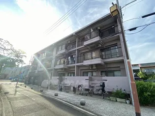 ファミリー白砂の画像