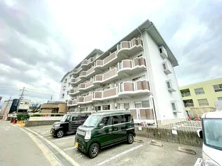 ライゼックス伸和の画像