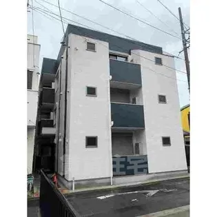 DEVELD菊井の画像