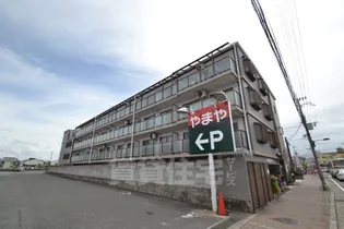 アルファの画像