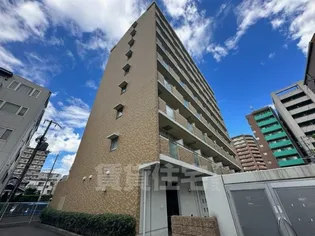 クレスト中もずの画像