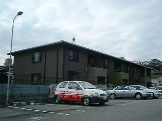 チェリーバレイZの画像