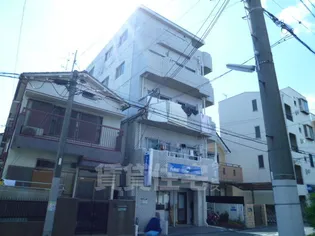 アムール曙の画像