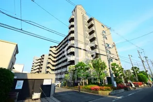 サンオークタツミの画像