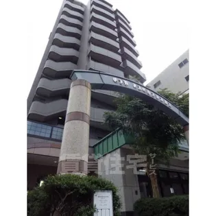 アイン橘の画像