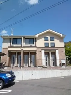 エバーグリーンBの画像