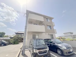 カメリアの画像