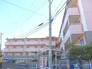 アートプラザ野路【2階】の外観