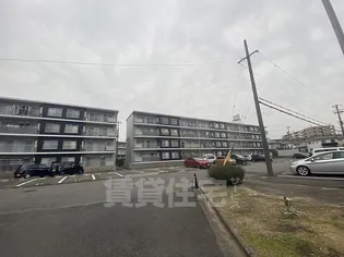 なるみグリーンコーポ【3階】の外観