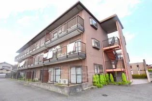 SELLEY'S金剛の画像