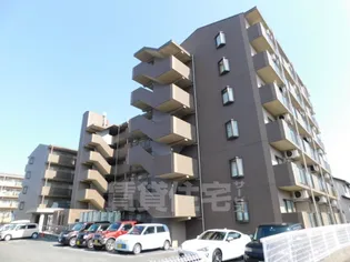 APEX FLAT R【5階】の外観