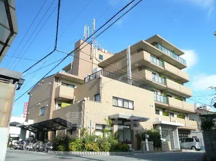 ラ マルガリータの画像