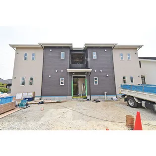 ネスト諸の木の画像