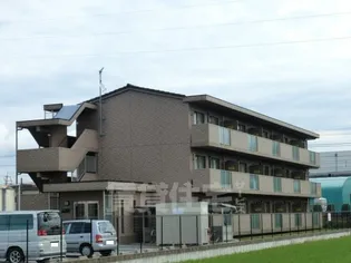 テネレッツアの画像