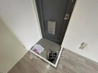 ペントハウス21【3階】の玄関