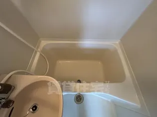 ペントハウス21【4階】の風呂