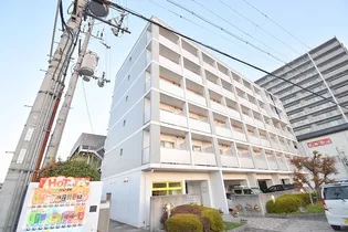 RECTOの画像