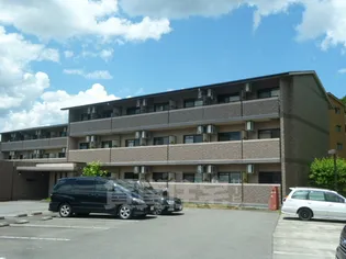 プラティアSETAの画像