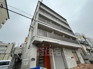 メヌエットKの画像