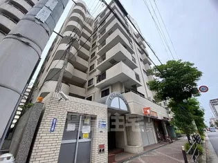 セントポーリア アビコの画像