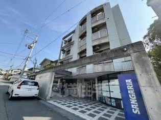 EASY BOX 稲の画像