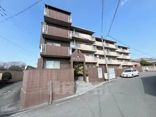 グランドールコシベの画像