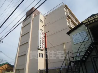 第2カシノハイツ【5階】の外観