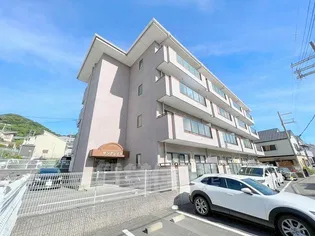 サングレイスの画像