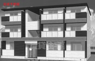 シャインの画像