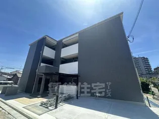 TIMBERーHARE SHIOEの画像