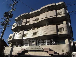 メゾン・ド・カンパーニュ【3階】の外観