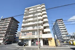 大阪府東大阪市長田中1丁目【マンション】の外観