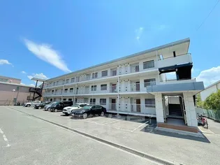 グランドハイツ杉田1【3階】の外観