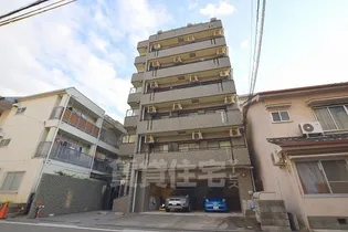 メゾン・ド・サクラOSAKA【4階】の外観