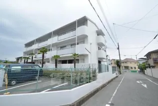 イトーミ2の画像