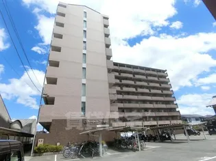 コンフォート太陽【4階】の外観