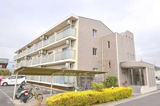 CYGNUS ηの画像