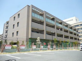 ミラベルの画像