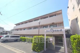 ドムスogawa【3階】の外観