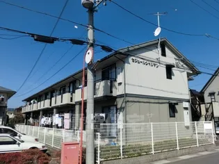ソフィア コートの画像