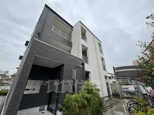 ゴールドチェリーブラッサムの画像