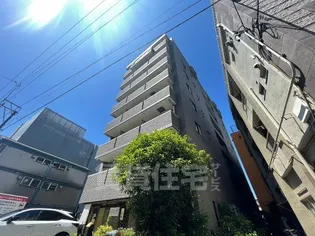 ステージ橦木の画像