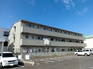 ディオネオーラの画像