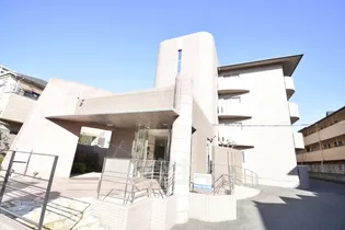 ウィステリアの画像