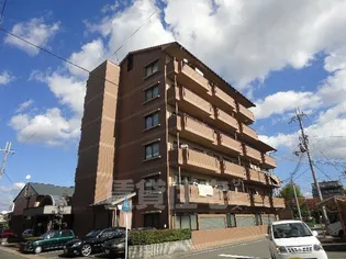 M レヴェンテの画像