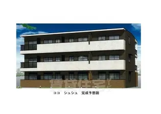 ココ シュシュの画像